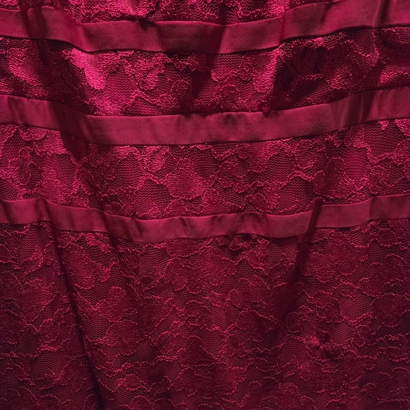 Dress Barn 22 Plus Size Red Lace A Line Cocktail Party Holiday Dress GUC - Picture 3 of 12